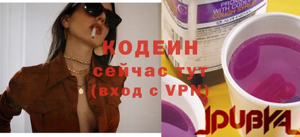 стаф Гусь-Хрустальный