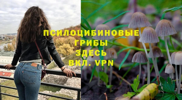 крисы Дмитров