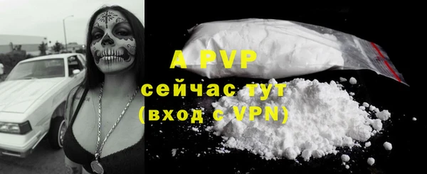 ПСИЛОЦИБИНОВЫЕ ГРИБЫ Билибино