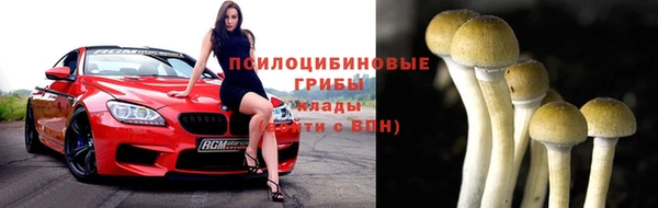 экстази Бикин