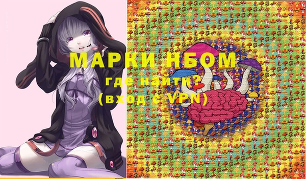 стаф Гусь-Хрустальный