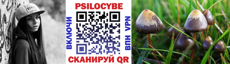 Галлюциногенные грибы Cubensis  что такое наркотик  Клин 