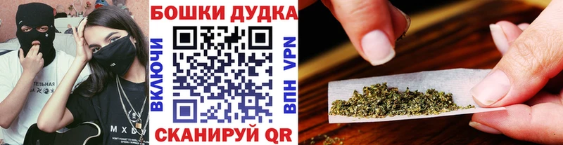 kraken как войти  что такое наркотик  Клин  Шишки марихуана семена 